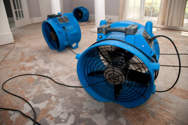 Best Sewage cleanup and water damage restoration  in Fairburn, GA