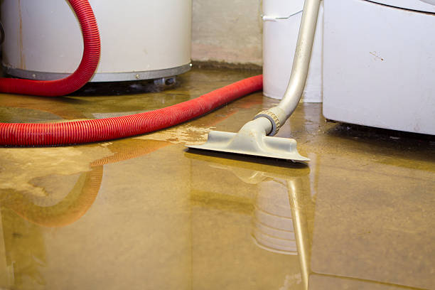 Best Water damage cleanup near me  in Fairburn, GA