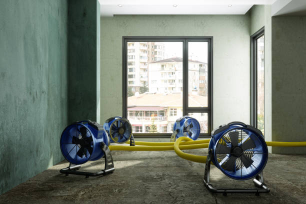 Best Water damage restoration services  in Fairburn, GA